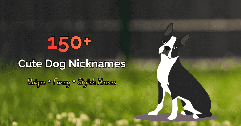 nicknames for dogs